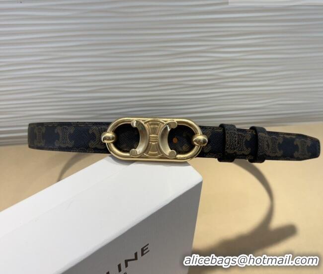 Hot Sell Cheap Celine Canvas Belt 2.5cm with Metal-Tone Triomphe Buckle 0317 Brown 2025