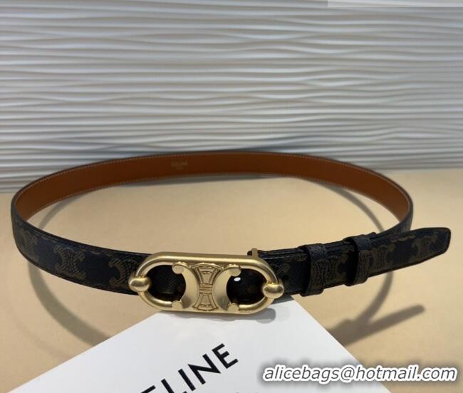Hot Sell Cheap Celine Canvas Belt 2.5cm with Metal-Tone Triomphe Buckle 0317 Brown 2025