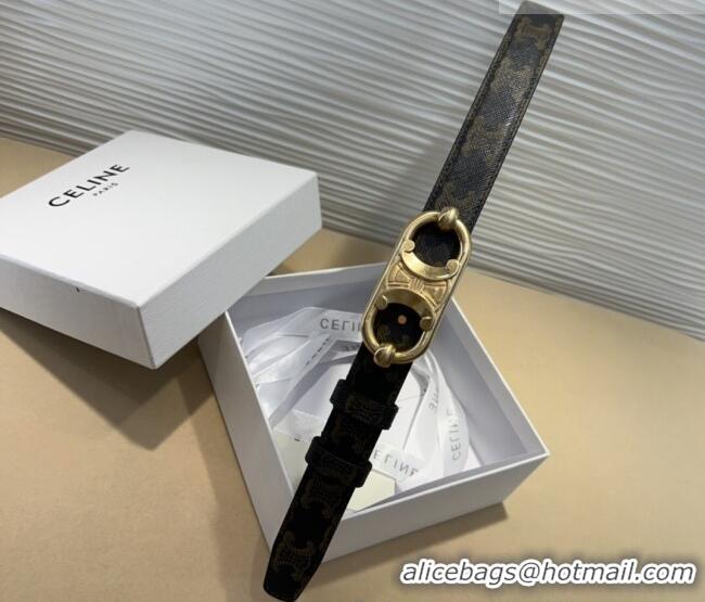 Hot Sell Cheap Celine Canvas Belt 2.5cm with Metal-Tone Triomphe Buckle 0317 Brown 2025