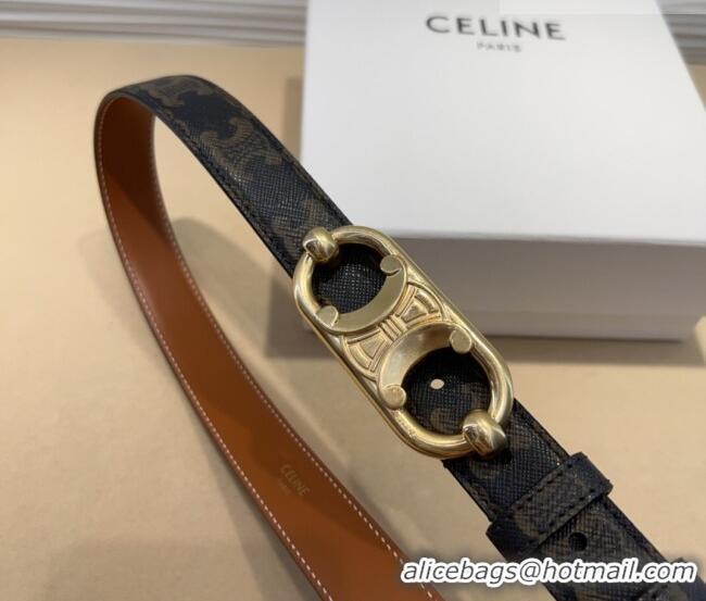 Hot Sell Cheap Celine Canvas Belt 2.5cm with Metal-Tone Triomphe Buckle 0317 Brown 2025