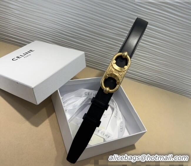 Traditional Discount Celine Calfskin Belt 2.5cm with Metal-Tone Triomphe Buckle 0317 Black 2025