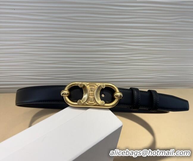 Traditional Discount Celine Calfskin Belt 2.5cm with Metal-Tone Triomphe Buckle 0317 Black 2025