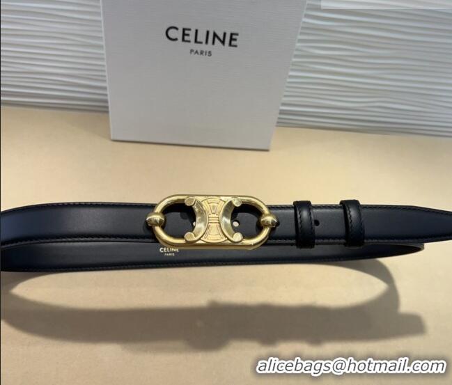 Traditional Discount Celine Calfskin Belt 2.5cm with Metal-Tone Triomphe Buckle 0317 Black 2025