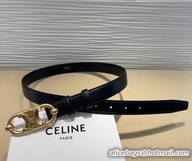 Traditional Discount Celine Calfskin Belt 2.5cm with Metal-Tone Triomphe Buckle 0317 Black 2025