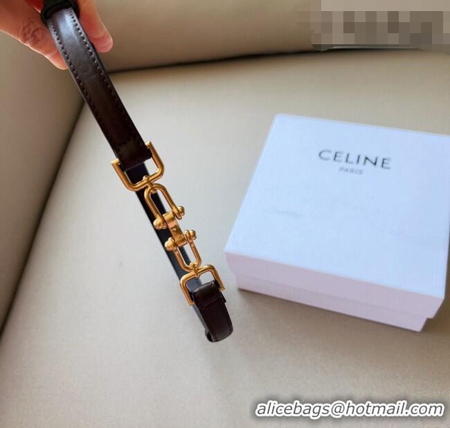 Best Quality Celine Leather and Chain Belt 1.5cm 0617 Dark Brown 2025