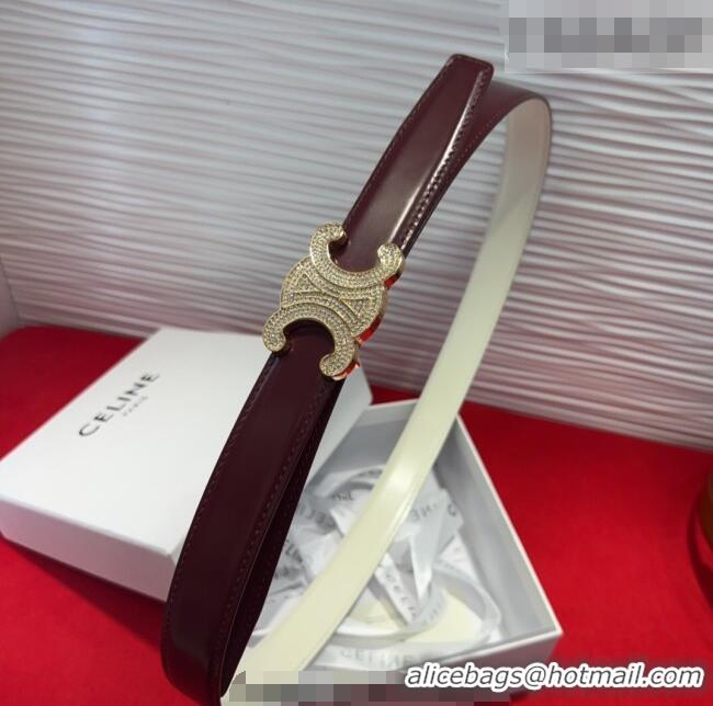 Original Cheap Celine Triomphe Calf Leather Belt 2.5cm with Strass Buckle CL2013025 Dark Brown 2025