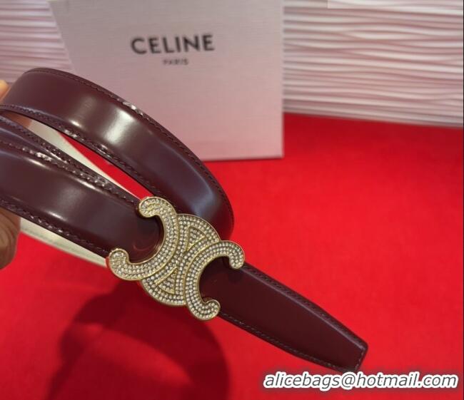 Original Cheap Celine Triomphe Calf Leather Belt 2.5cm with Strass Buckle CL2013025 Dark Brown 2025