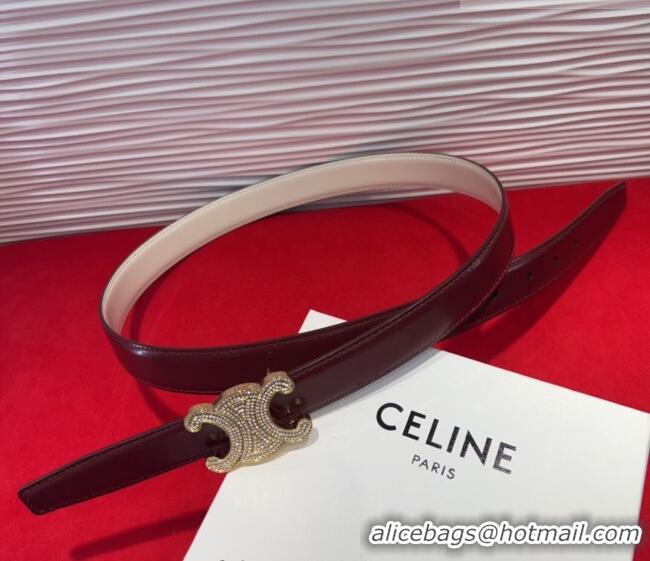 Original Cheap Celine Triomphe Calf Leather Belt 2.5cm with Strass Buckle CL2013025 Dark Brown 2025