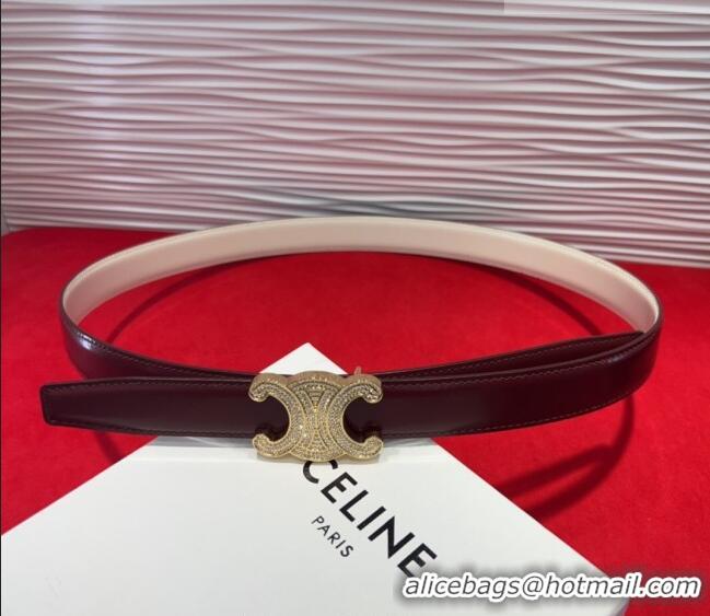 Original Cheap Celine Triomphe Calf Leather Belt 2.5cm with Strass Buckle CL2013025 Dark Brown 2025