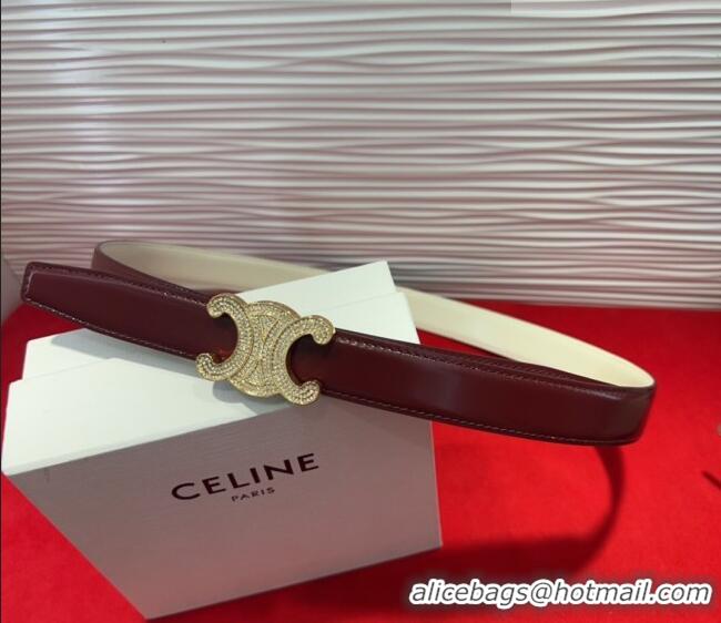 Original Cheap Celine Triomphe Calf Leather Belt 2.5cm with Strass Buckle CL2013025 Dark Brown 2025