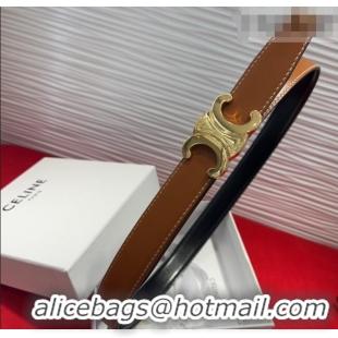 New Fashion Celine Triomphe Calf Leather Belt 2.5cm with Gold-Tone Buckle CL2012025 Brown 2025