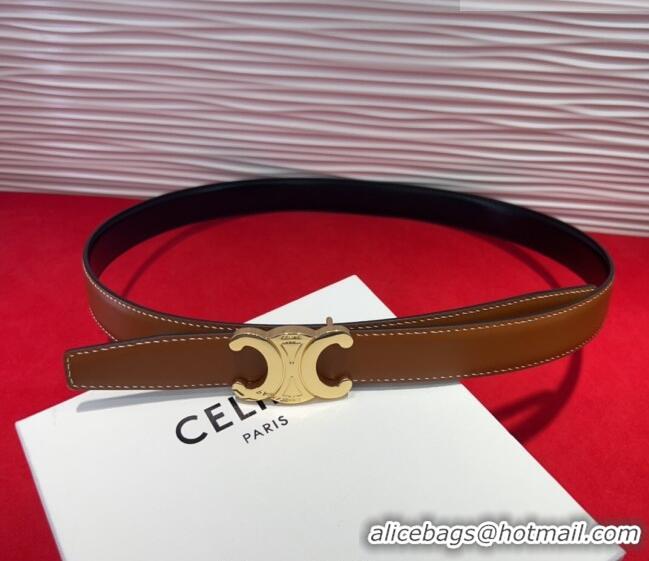 New Fashion Celine Triomphe Calf Leather Belt 2.5cm with Gold-Tone Buckle CL2012025 Brown 2025