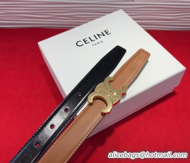 New Fashion Celine Triomphe Calf Leather Belt 2.5cm with Gold-Tone Buckle CL2012025 Brown 2025