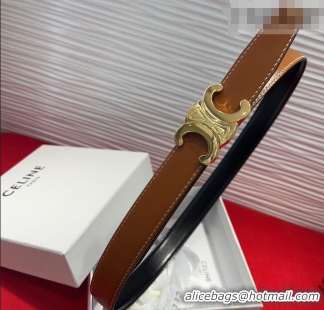 New Fashion Celine Triomphe Calf Leather Belt 2.5cm with Gold-Tone Buckle CL2012025 Brown 2025