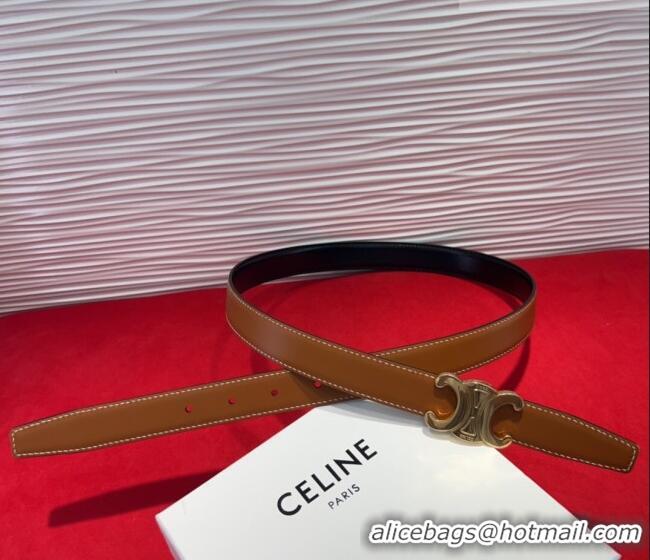 New Fashion Celine Triomphe Calf Leather Belt 2.5cm with Gold-Tone Buckle CL2012025 Brown 2025