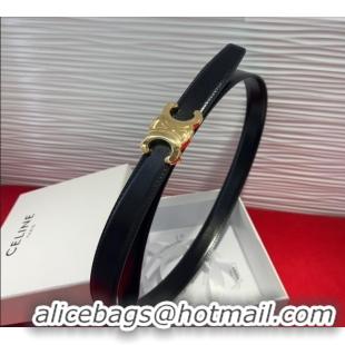 Well Crafted Celine Triomphe Calf Leather Belt 2.5cm with Gold-Tone Buckle CL2012025 Black 2025