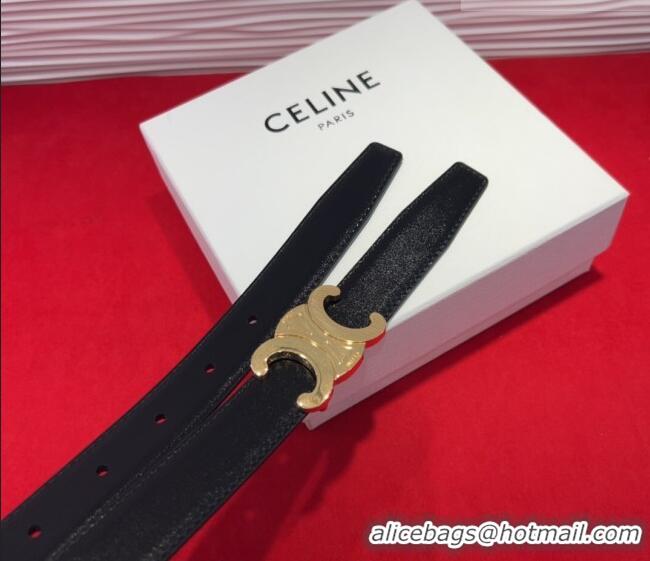 Well Crafted Celine Triomphe Calf Leather Belt 2.5cm with Gold-Tone Buckle CL2012025 Black 2025