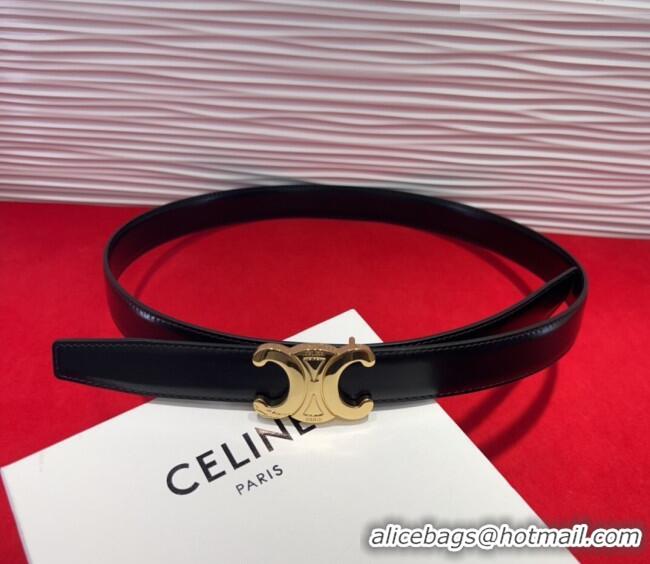 Well Crafted Celine Triomphe Calf Leather Belt 2.5cm with Gold-Tone Buckle CL2012025 Black 2025