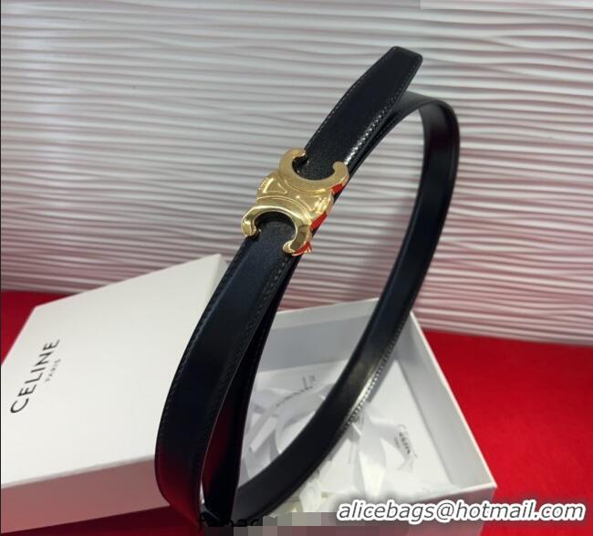 Well Crafted Celine Triomphe Calf Leather Belt 2.5cm with Gold-Tone Buckle CL2012025 Black 2025