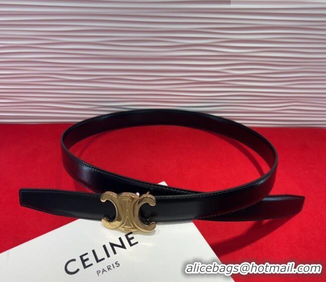 Well Crafted Celine Triomphe Calf Leather Belt 2.5cm with Gold-Tone Buckle CL2012025 Black 2025