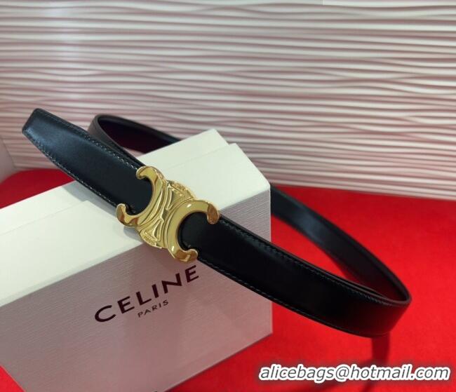 Well Crafted Celine Triomphe Calf Leather Belt 2.5cm with Gold-Tone Buckle CL2012025 Black 2025