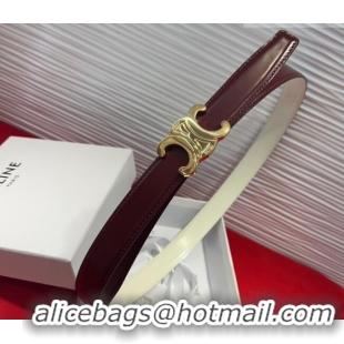 Discount Celine Triomphe Calf Leather Belt 2.5cm with Gold-Tone Buckle CL2012025 Dark Brown 2025