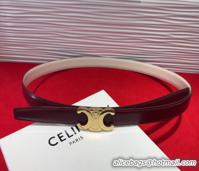Discount Celine Triomphe Calf Leather Belt 2.5cm with Gold-Tone Buckle CL2012025 Dark Brown 2025