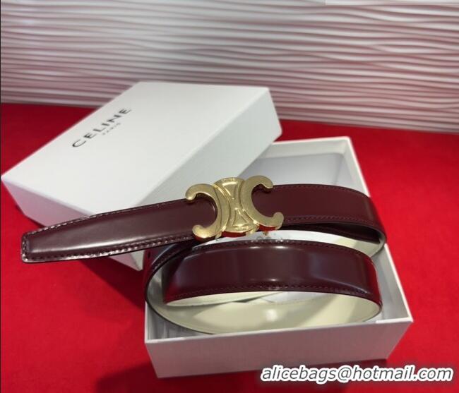Discount Celine Triomphe Calf Leather Belt 2.5cm with Gold-Tone Buckle CL2012025 Dark Brown 2025