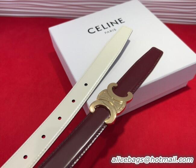 Discount Celine Triomphe Calf Leather Belt 2.5cm with Gold-Tone Buckle CL2012025 Dark Brown 2025