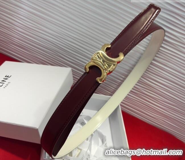 Discount Celine Triomphe Calf Leather Belt 2.5cm with Gold-Tone Buckle CL2012025 Dark Brown 2025