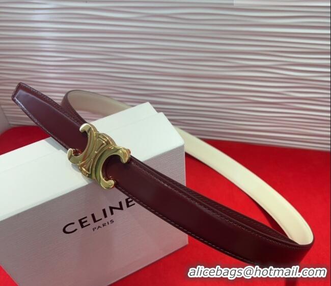 Discount Celine Triomphe Calf Leather Belt 2.5cm with Gold-Tone Buckle CL2012025 Dark Brown 2025