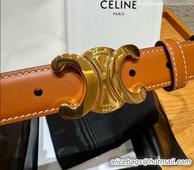 Low Price Celine Triomphe Supple Calfskin Leather Belt 2.5cm 0911 Brown 2025
