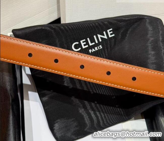 Low Price Celine Triomphe Supple Calfskin Leather Belt 2.5cm 0911 Brown 2025