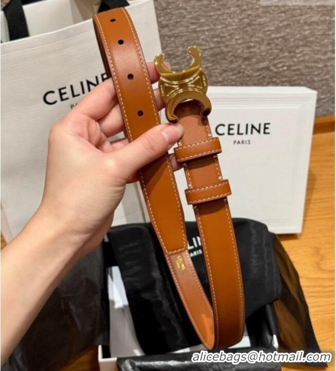 Low Price Celine Triomphe Supple Calfskin Leather Belt 2.5cm 0911 Brown 2025
