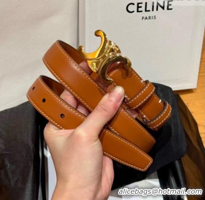 Low Price Celine Triomphe Supple Calfskin Leather Belt 2.5cm 0911 Brown 2025