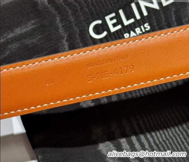 Low Price Celine Triomphe Supple Calfskin Leather Belt 2.5cm 0911 Brown 2025