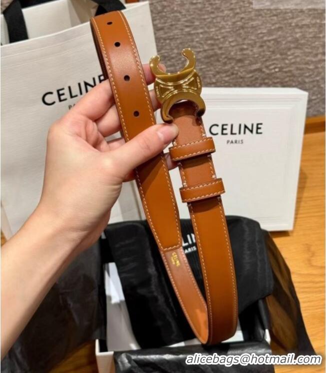 Low Price Celine Triomphe Supple Calfskin Leather Belt 2.5cm 0911 Brown 2025