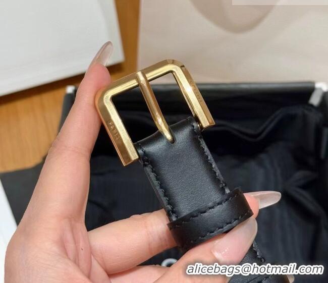 Best Quality Celine Supple Calfskin Leather Belt 2.5cm with Pin Buckle CE0911098 Black/Gold 2025