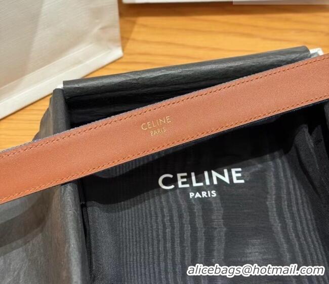 Super Quality Celine Denim and Leather Belt 2.5cm with Cutout Triomphe Buckle CE091101 Blue/Brown/Gold 2025