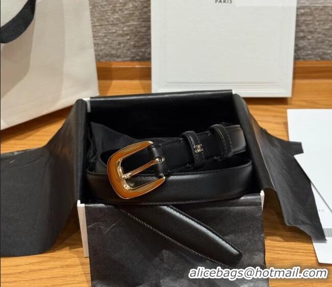 Famous Brand Celine Calfskin Leather Belt 2.5cm with Pin Buckle CE091105 Black 2025