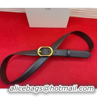Top Grade Celine Triomphe Medium Belt 2.5cm with Pin Buckle in Calfskin Leather CE031601 Dark Brown 2026