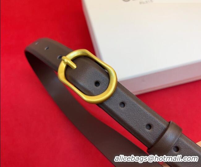 Top Grade Celine Triomphe Medium Belt 2.5cm with Pin Buckle in Calfskin Leather CE031601 Dark Brown 2026