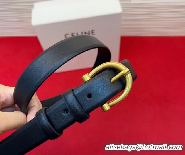 New Cheap Celine Triomphe Medium Belt 2.5cm with Pin Buckle in Calfskin Leather CE031602 Black 2026