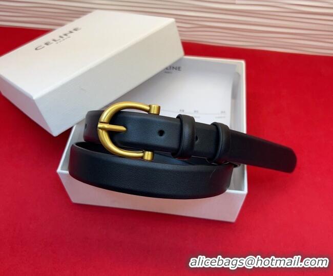 New Cheap Celine Triomphe Medium Belt 2.5cm with Pin Buckle in Calfskin Leather CE031602 Black 2026