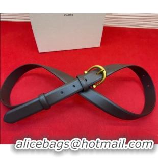 Good Looking Celine Triomphe Medium Belt 2.5cm with Pin Buckle in Calfskin Leather CE031602 Dark Brown 2026