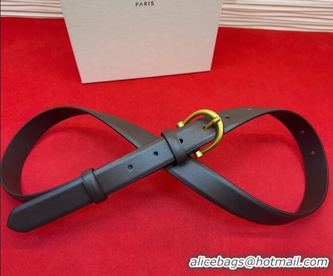 Good Looking Celine Triomphe Medium Belt 2.5cm with Pin Buckle in Calfskin Leather CE031602 Dark Brown 2026