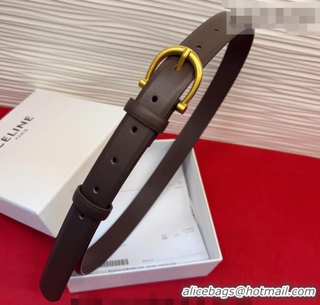 Good Looking Celine Triomphe Medium Belt 2.5cm with Pin Buckle in Calfskin Leather CE031602 Dark Brown 2026