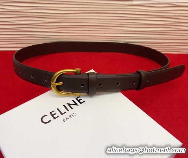 Good Looking Celine Triomphe Medium Belt 2.5cm with Pin Buckle in Calfskin Leather CE031602 Dark Brown 2026