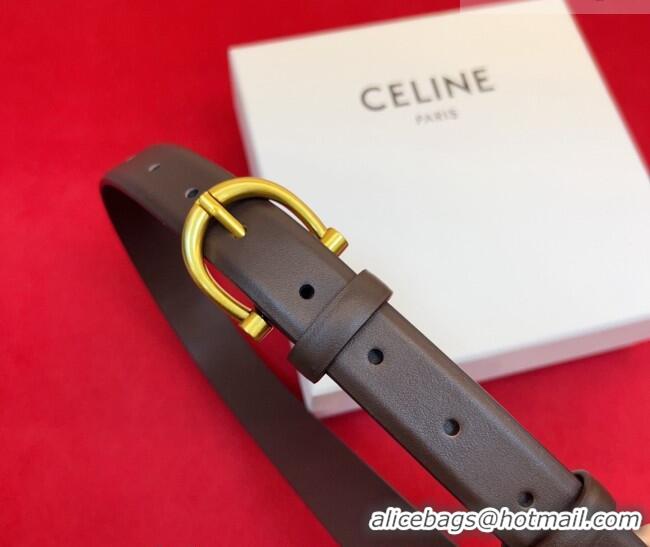 Good Looking Celine Triomphe Medium Belt 2.5cm with Pin Buckle in Calfskin Leather CE031602 Dark Brown 2026