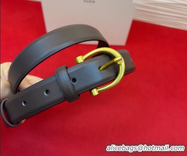 Good Looking Celine Triomphe Medium Belt 2.5cm with Pin Buckle in Calfskin Leather CE031602 Dark Brown 2026
